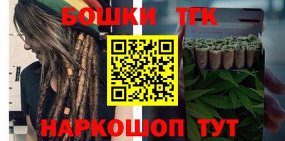 тгк Новодвинск
