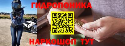 гашик Новозыбков