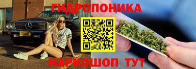 apvp Обь